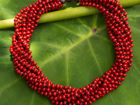 Bangkok Belle Red Torsade Necklace Wood Beaded Jewelry For Discount