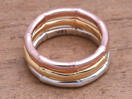 Bamboo Trio 3 Bamboo Motif Rings in Silver, Gold and Rose Gold Hot on Sale