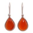 Autumn Rain Natural Carnelian and Sterling Silver 925 Dangle Earrings Fashion