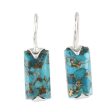 Beautiful Blue Composite Turquoise Drop Earrings from India Fashion