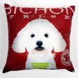 Art Print Plush Accent Pillow Cover For Cheap