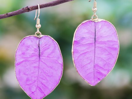 Bougainvillea Love in Purple Gold Accented Natural Flower Dangle Earrings in Purple Online Sale