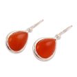 Autumn Rain Natural Carnelian and Sterling Silver 925 Dangle Earrings Fashion